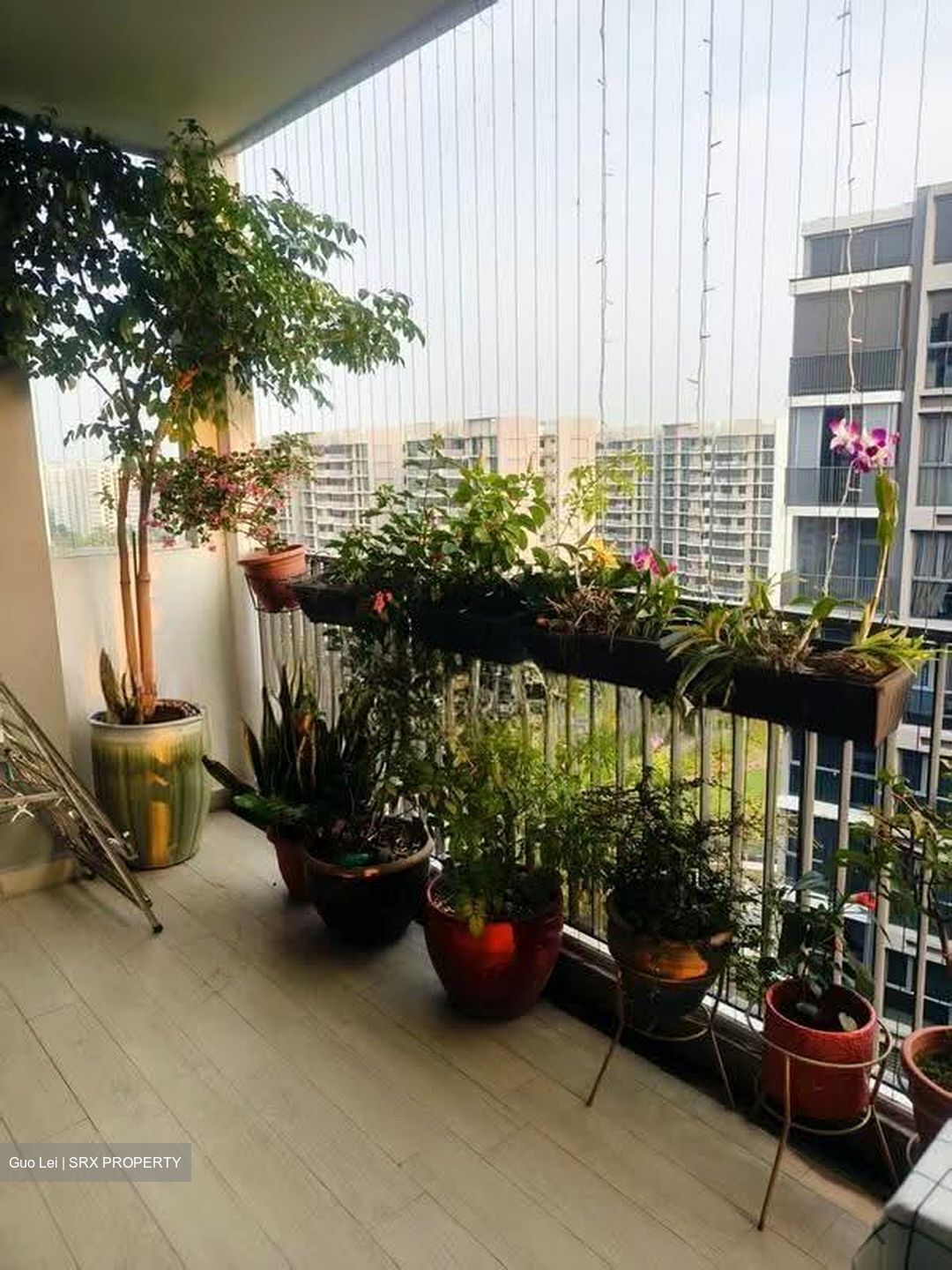 Bellewaters (D19), Condominium #617984651